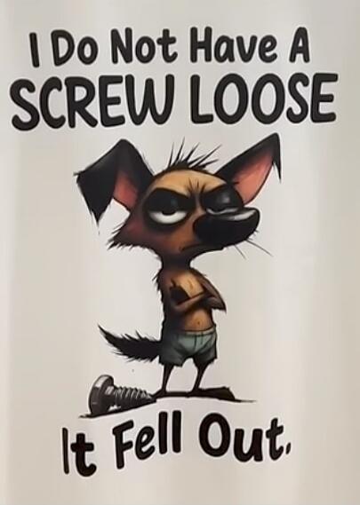 I Do Not Have A SCREW LOOSE It Fell Out.