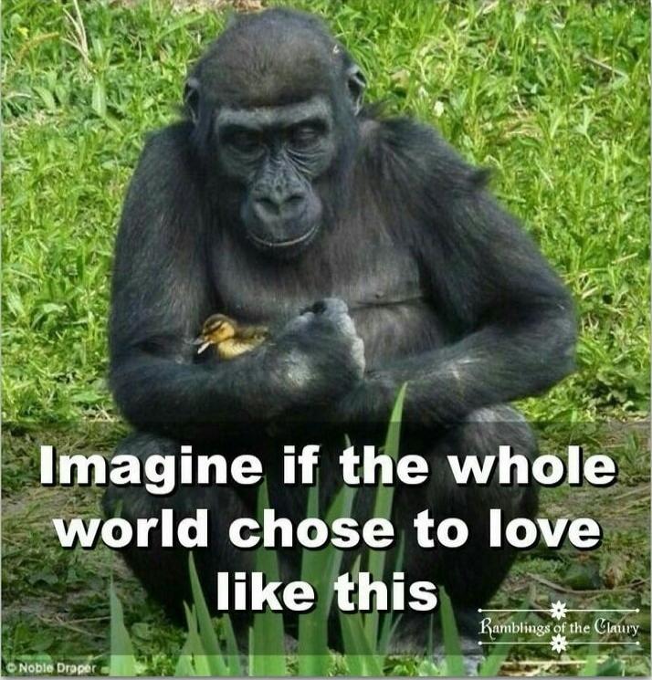 Imagine if the whole world chose to love like this