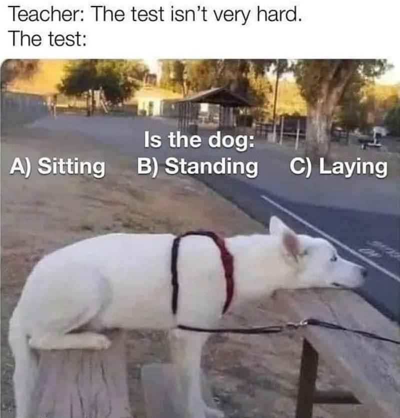 Teacher The test isnt very hard The test Is the dog 4 A 5713 1o o N IS 13 1o T T I 09 Laylng with mematic