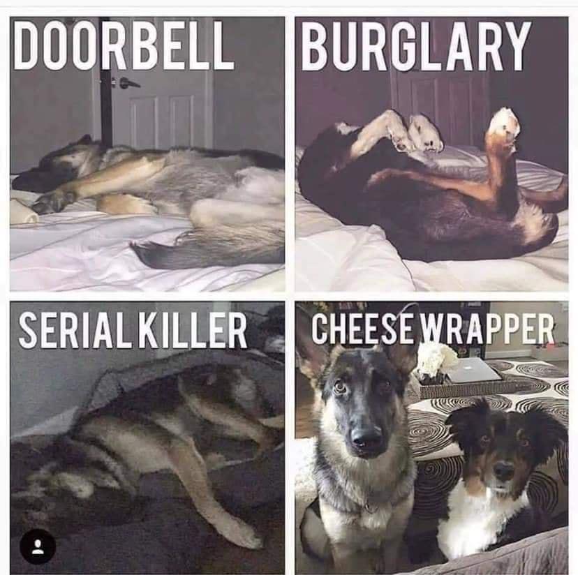 DUURBELL BURGLARY