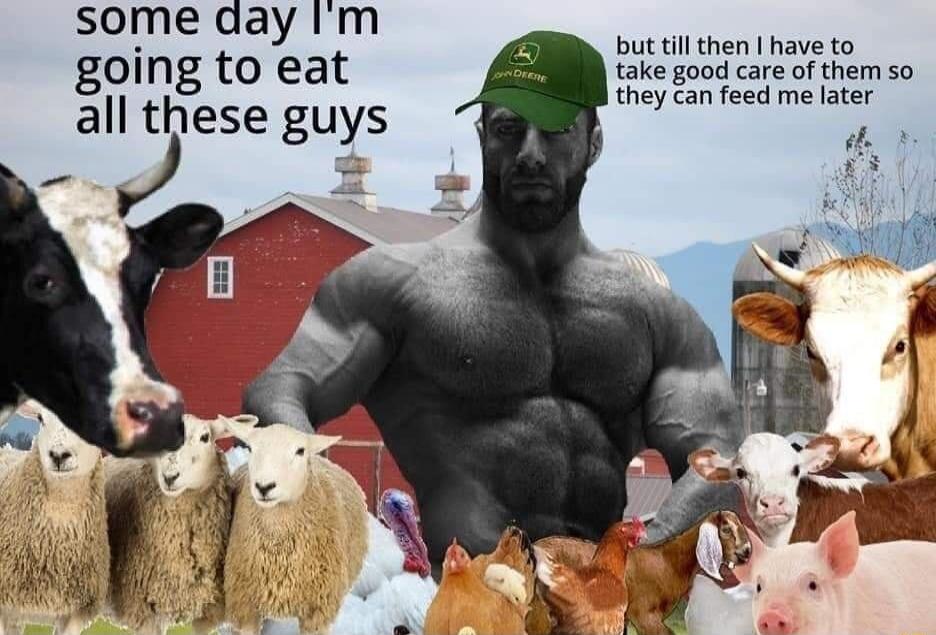 some day Ul but till then h going to eat ke good careofthem sa all these guys they can feed me later P