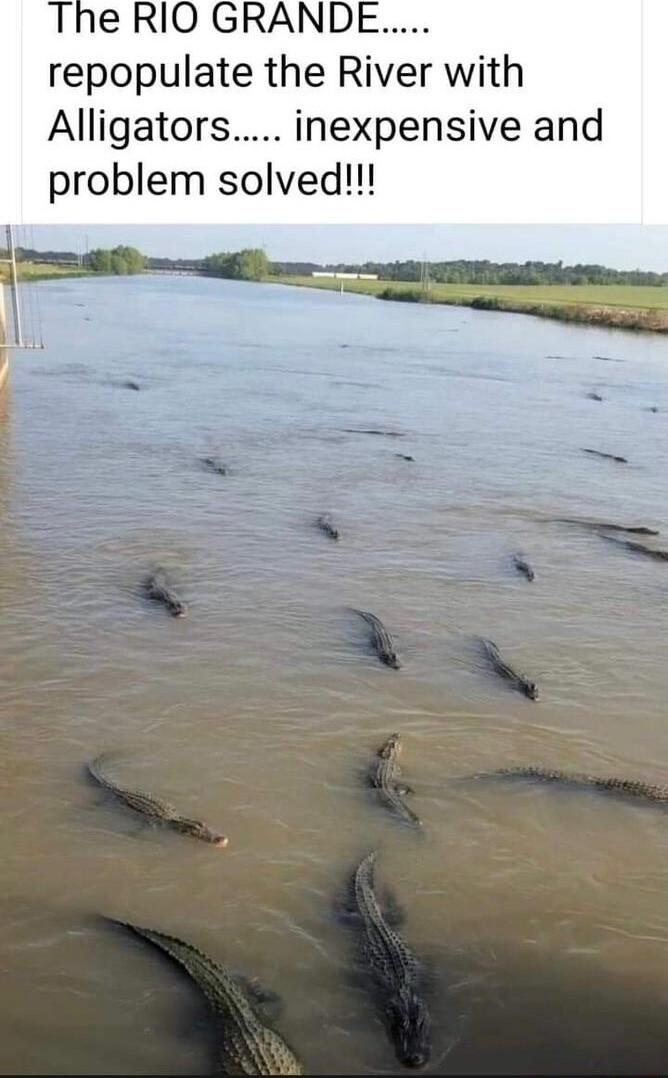 repopulate the Rver with Alligators inexpensive and problem solved