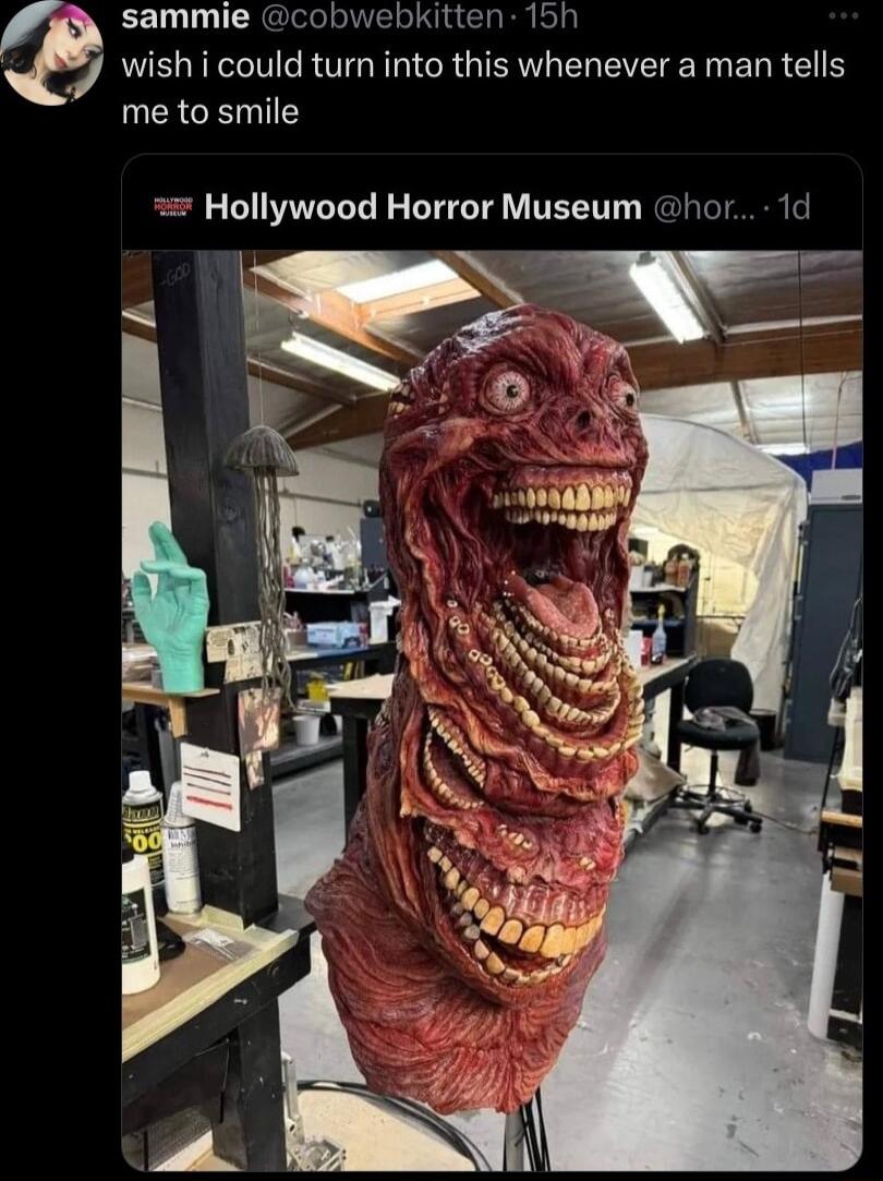 sammie cobwebkitten 15h 7 wish i could turn into this whenever a man tells me to smile Hollywood Horror Museum hor 1d