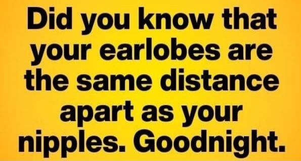 Did you know that your earlobes are the same distance apart as your nipples. Goodnight.