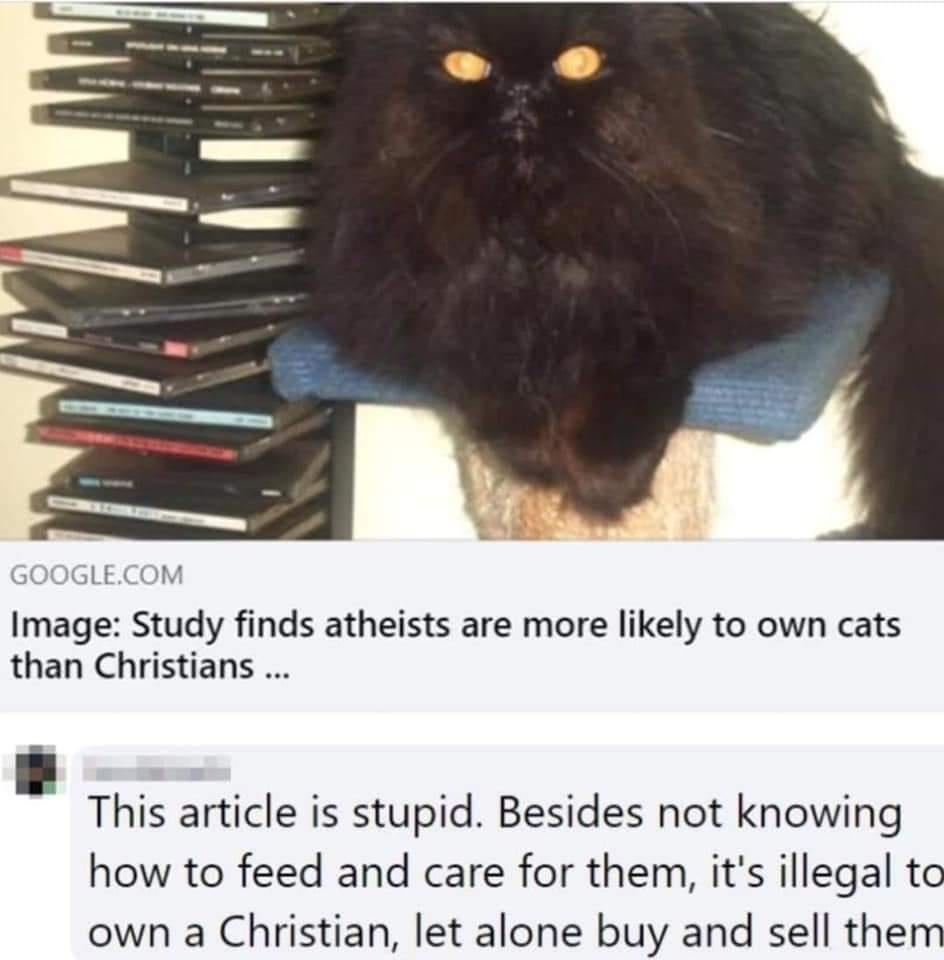 GOOGLECOM Image Study finds atheists are more likely to own cats than Christians This article is stupid Besides not knowing how to feed and care for them its illegal to own a Christian let alone buy and sell them