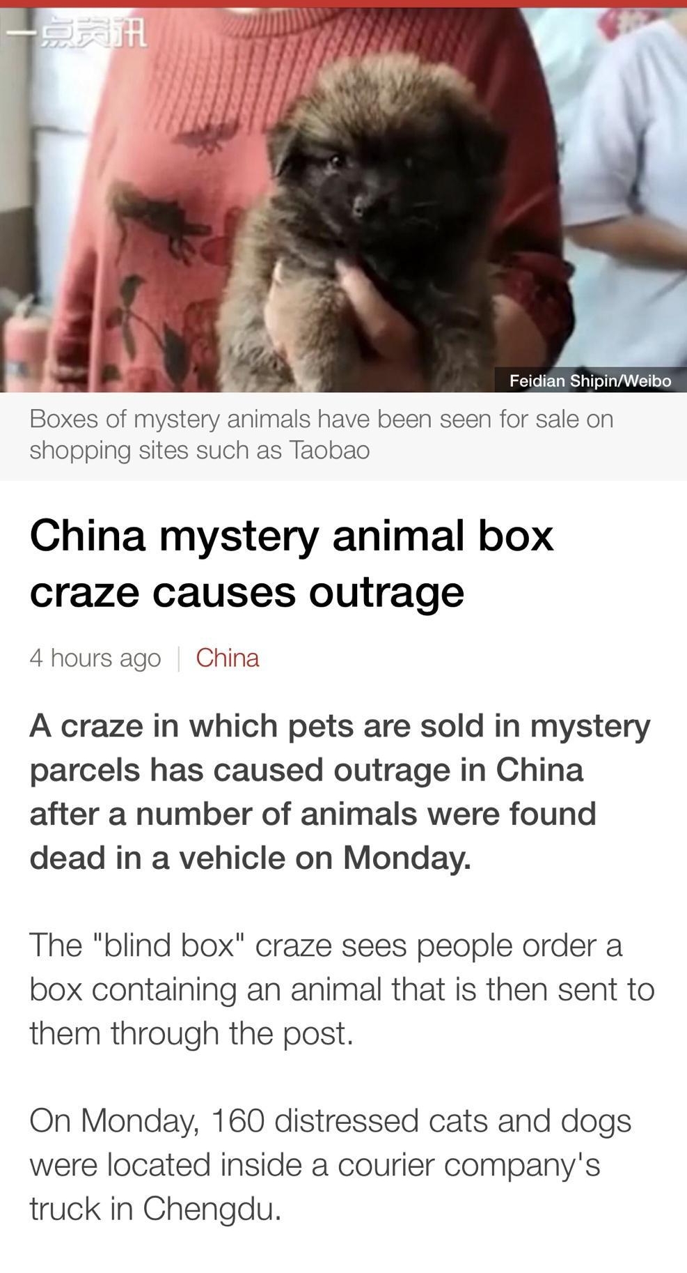 Feidian ShipinWeibo Boxes of mystery anlmals have been seen for sale on shopping sites such as Taobao China mystery animal box craze causes outrage 4 hours ago China A craze in which pets are sold in mystery parcels has caused outrage in China after a number of animals were found dead in a vehicle on Monday The blind box craze sees people order a box containing an animal that is then sent to them 