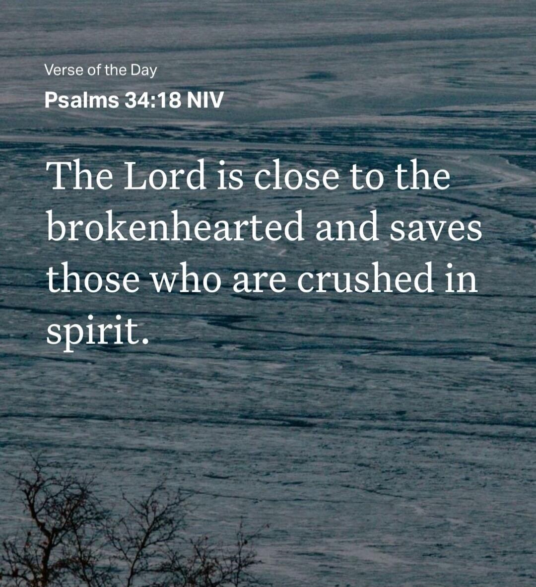 Verse of the Day
Psalms 34:18 NIV
The Lord is close to the brokenhearted and saves those who are crushed in spirit.