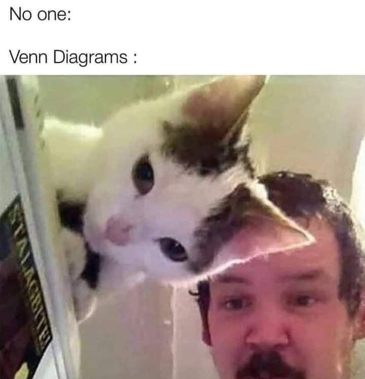 No one Venn Diagrams