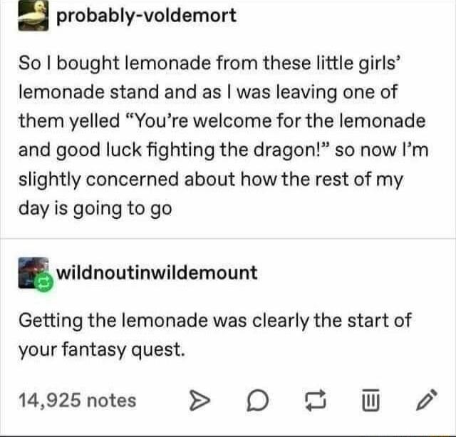 probably voldemort So bought lemonade from these little girls lemonade stand and as was leaving one of them yelled Youre welcome for the lemonade and good luck fighting the dragon so now Im slightly concerned about how the rest of my day is going to go wildnoutinwildemount Getting the lemonade was clearly the start of your fantasy quest 14925 notes 0 2 w 72