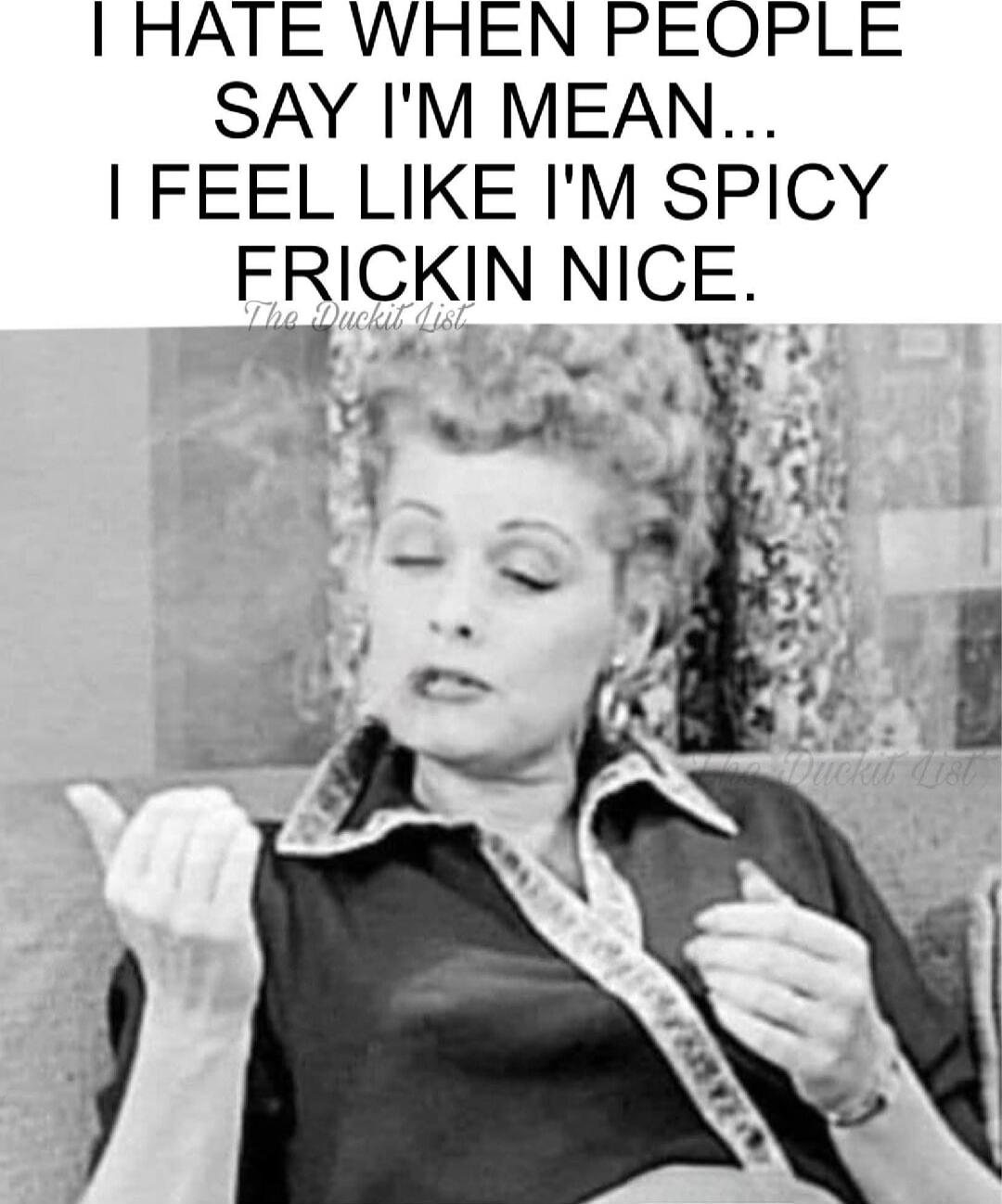 I HATE WHEN PEOPLE SAY I'M MEAN... I FEEL LIKE I'M SPICY FRICKIN NICE.