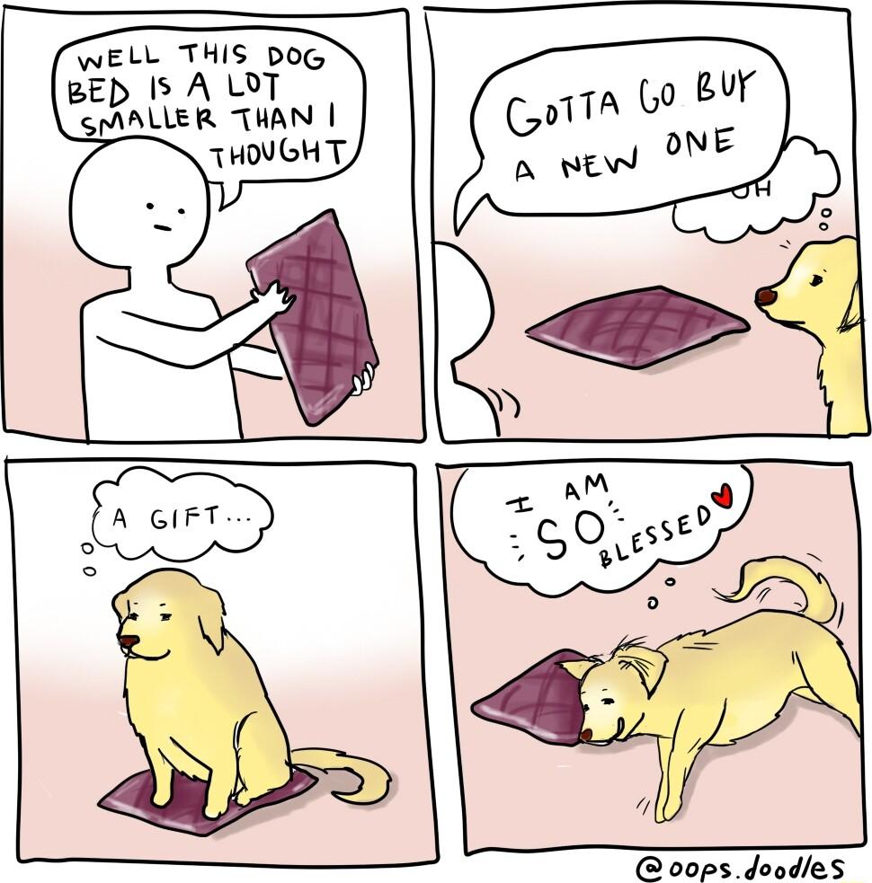 WELL THIS DOG BED I5 A LOT SMALLER THAN