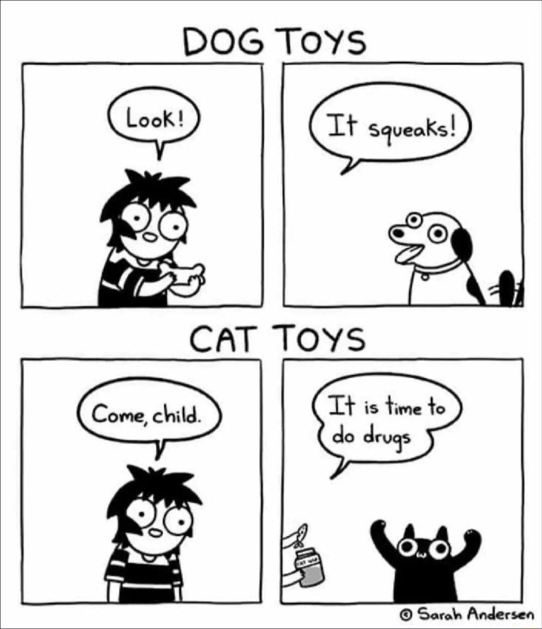 DOG Tovs CAT TOYS do drugs b W Sarah Andersen