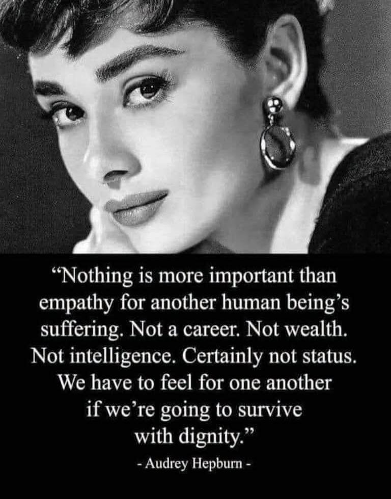 Nothing is more important than empathy for another human being's suffering. Not a career. Not wealth. Not intelligence. Certainly not status. We have to feel for one another if we're going to survive with dignity. - Audrey Hepburn -