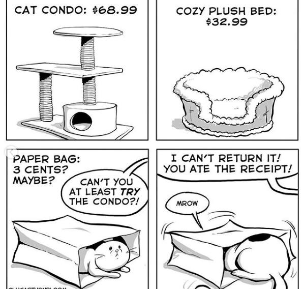 CAT CONDO 6899 COZY PLUSH BED 3299 PAPER BAG 3 CENTS MAYBE CANT YOIK AT LEAST TRY THE CONDO I CANT RETURN IT YOU ATE THE RECEIPT