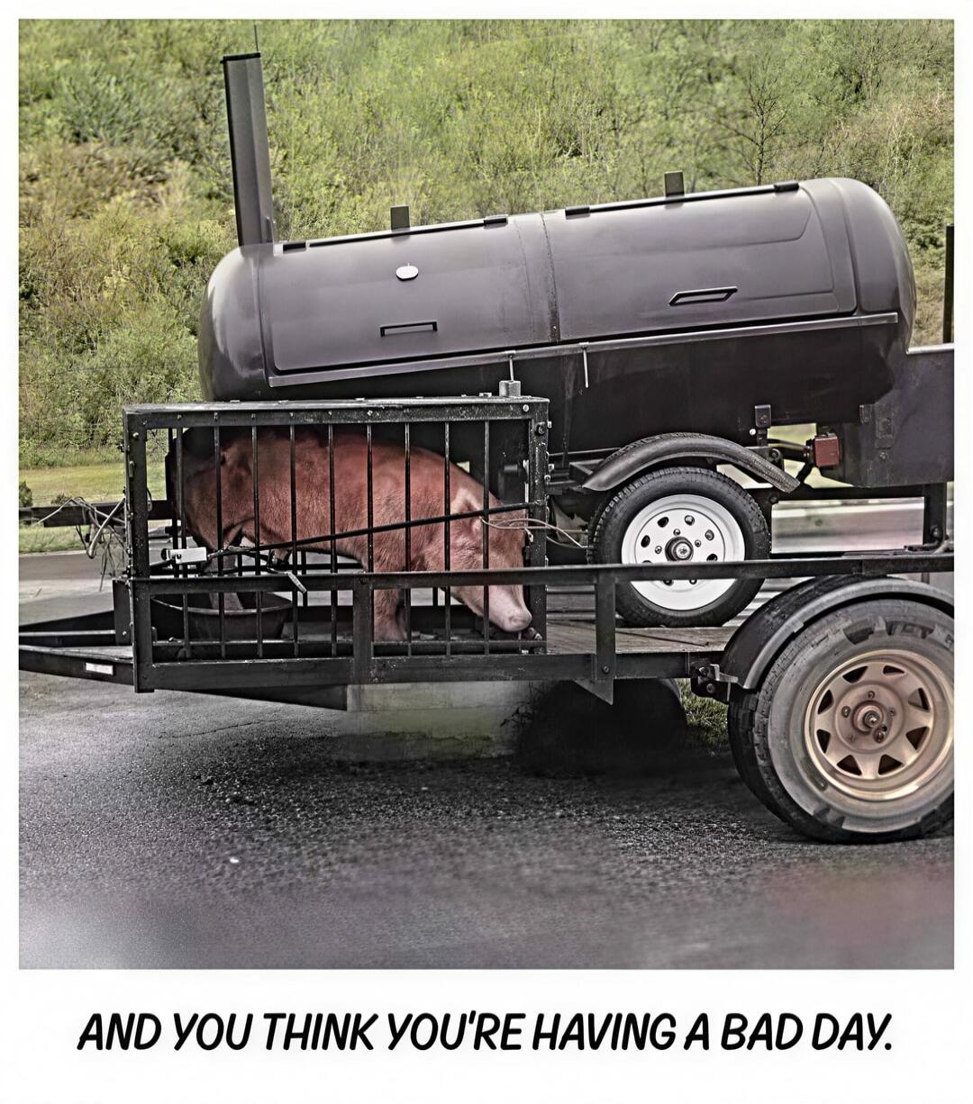 AND YOU THINK YOU'RE HAVING A BAD DAY.