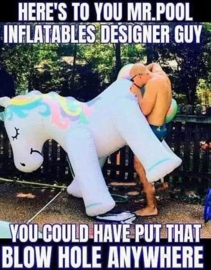 HERE'S TO YOU MR. POOL INFLATABLES DESIGNER GUY YOU COULD HAVE PUT THAT BLOW HOLE ANYWHERE
