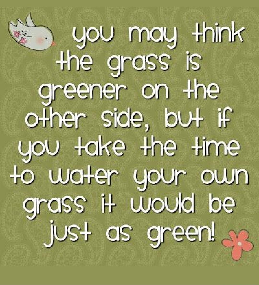 YoU may hink e grass IS greener on e other ide but if you ake the ime 0 Water yoUr ouwn grass i Wwoud be Just as greenl S