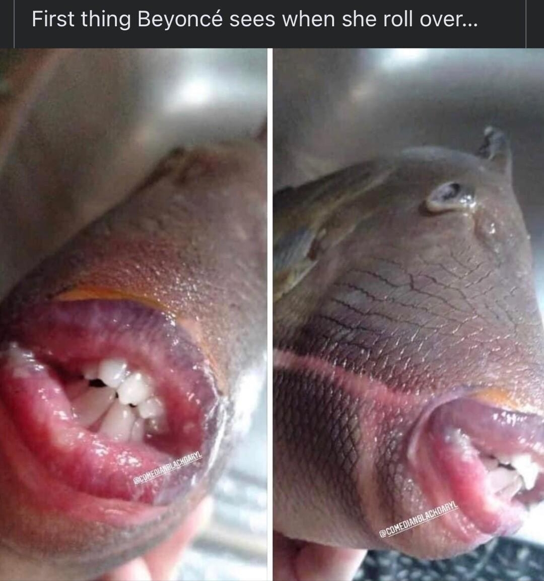 Daryl Clark Follow W pec17 First thing Beyonc sees when she roll over