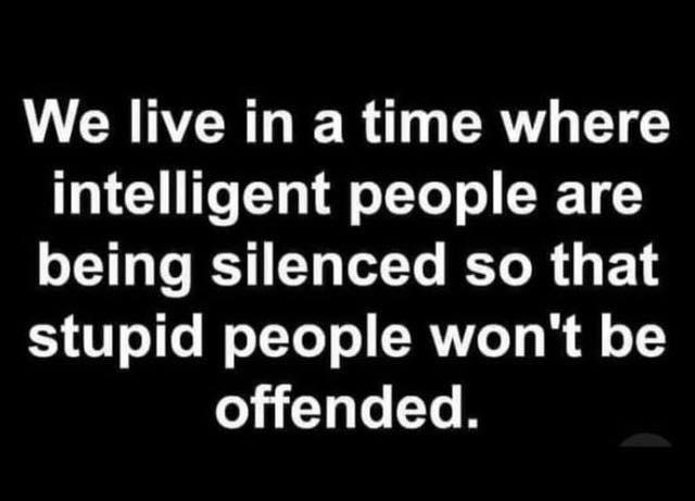 We live in a time where CUITe LT3 o YT o R TG being silenced so that V o1 o W oTYoT o CRVITeTo ff o offended