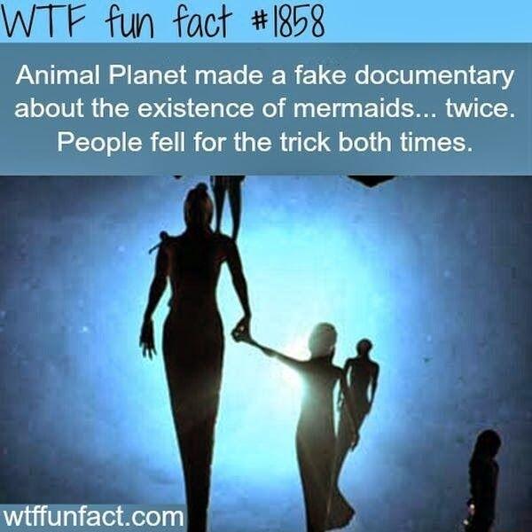 Animal Planet made a fake documentary about the existence of mermaids twice LT R ER TR GER o Qo Tel s Ry TN A a