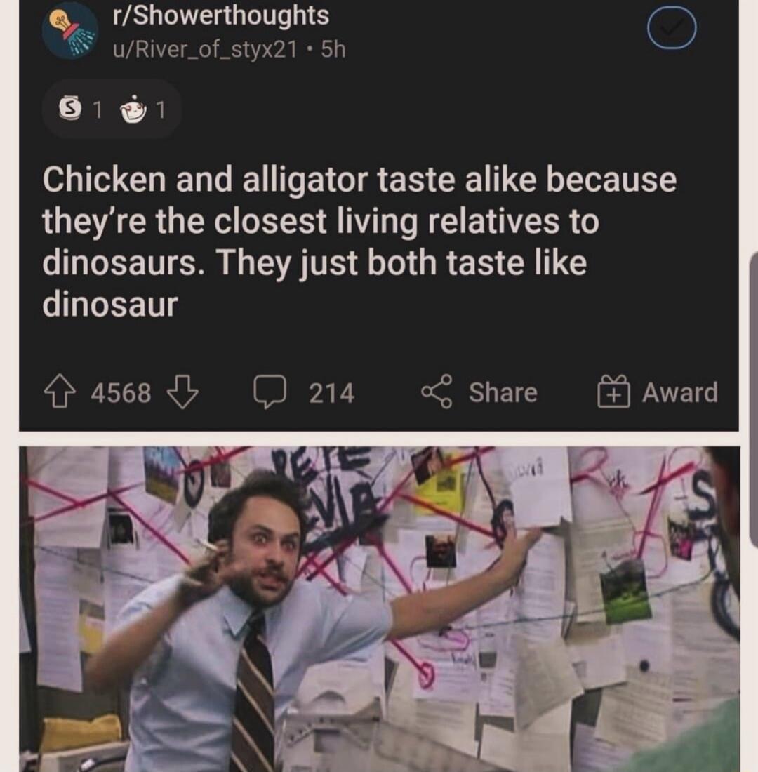 L rShowerthoughts C o Chicken and alligator taste alike because QUEYEER GERE RS T TG LCEETTCR G A TE G RES Y EETTS 4568 214 Share Award