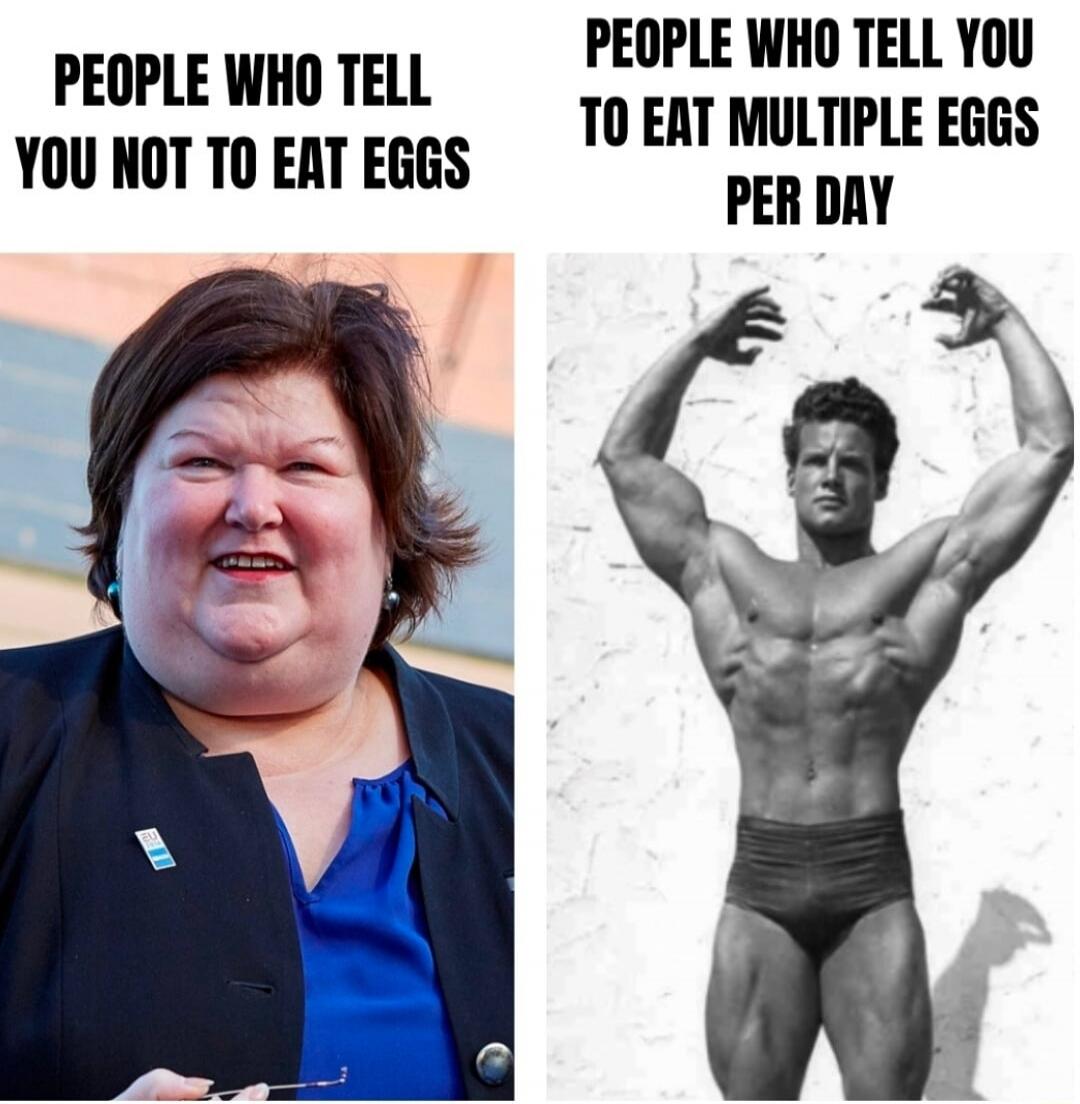 PEOPLE WHO TELL YOU NOT TO EAT EGGS PEOPLE WHO TELL YOU TO EAT MULTIPLE EGGS PER DAY