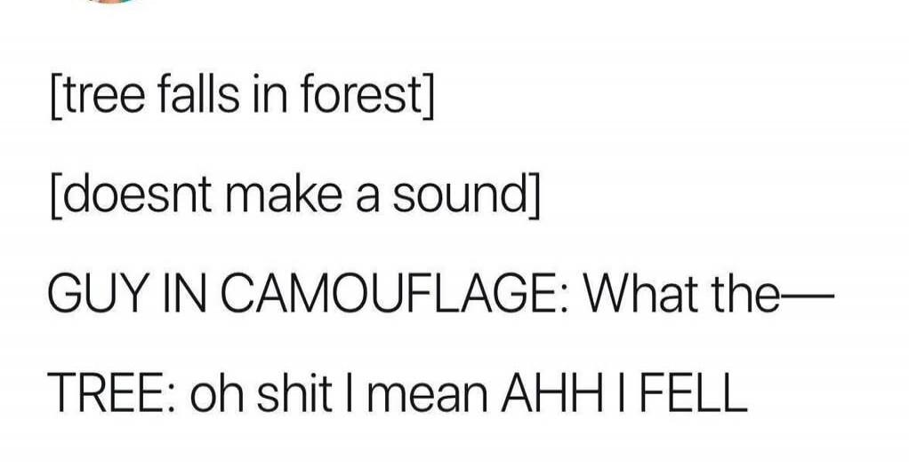 [tree falls in forest]\n\n[doesnt make a sound]\n\nGUY IN CAMOUFLAGE: What the—\nTREE: oh shit I mean AHH I FELL