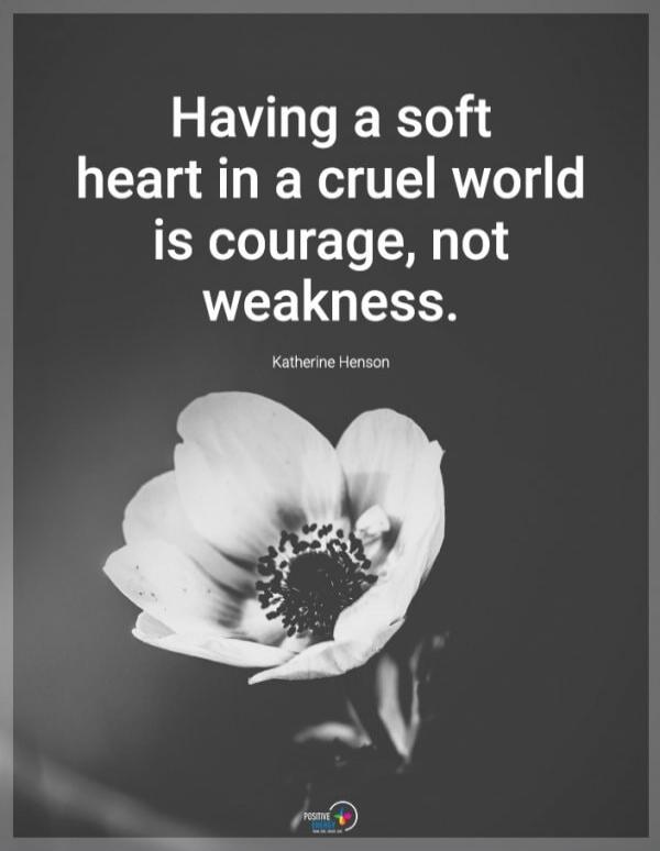 Having a soft heart in a cruel world is courage, not weakness. Katherine Henson