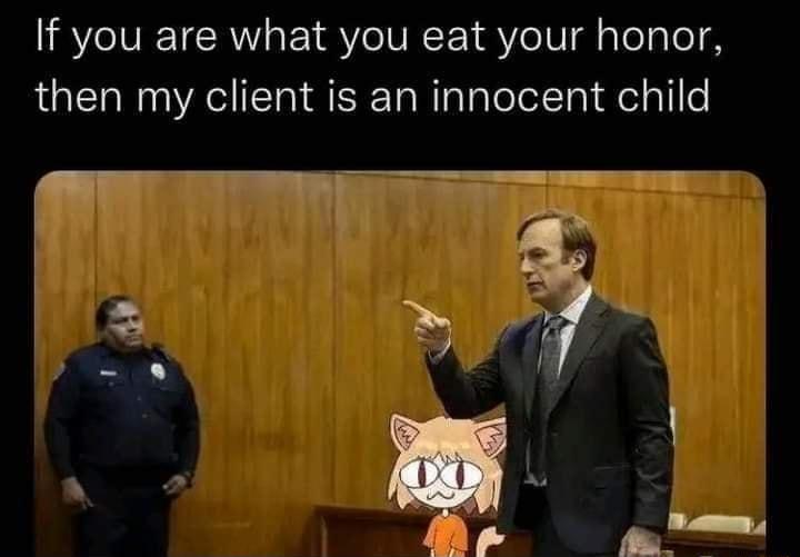 If you are what you eat your honor then my client is an innocent child WY rt e E e 94