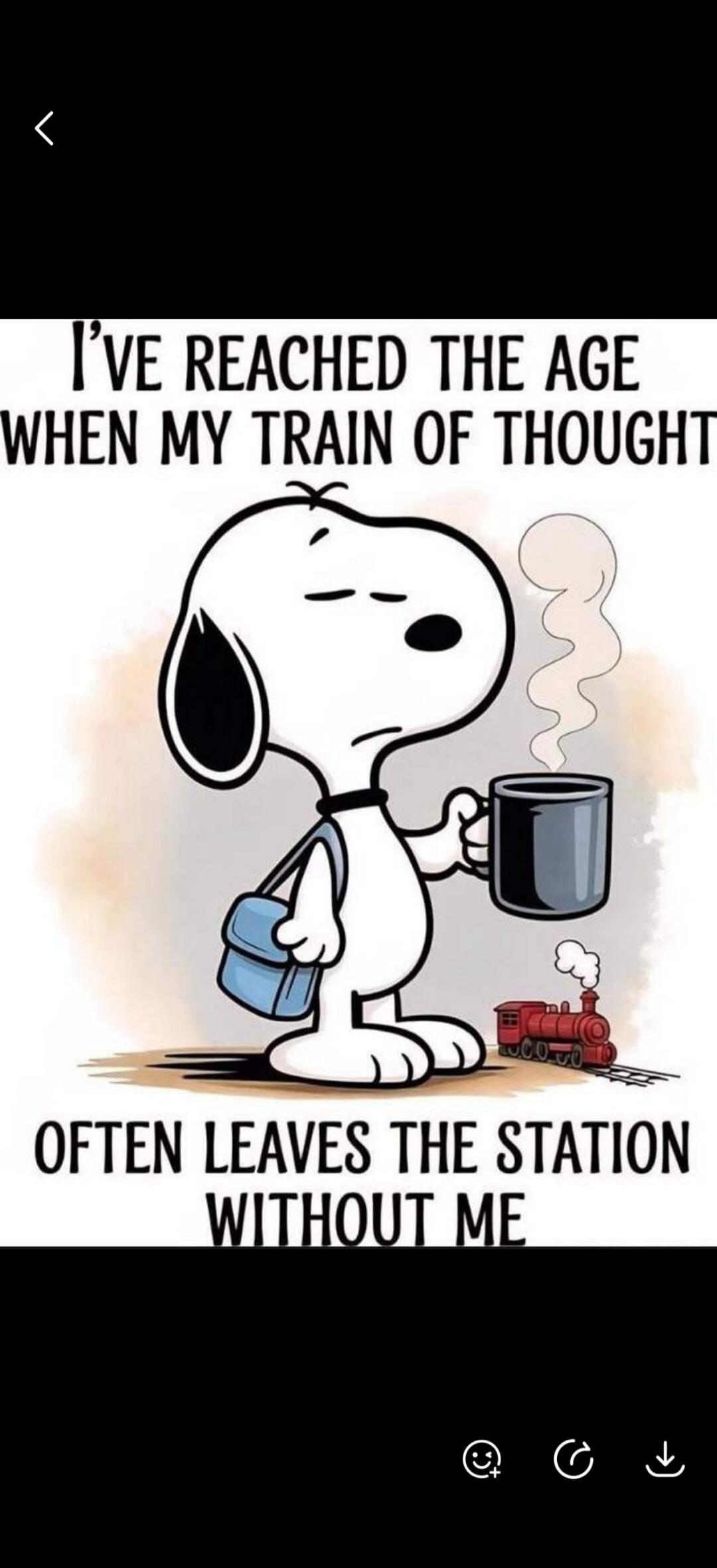 I'VE REACHED THE AGE WHEN MY TRAIN OF THOUGHT OFTEN LEAVES THE STATION WITHOUT ME
