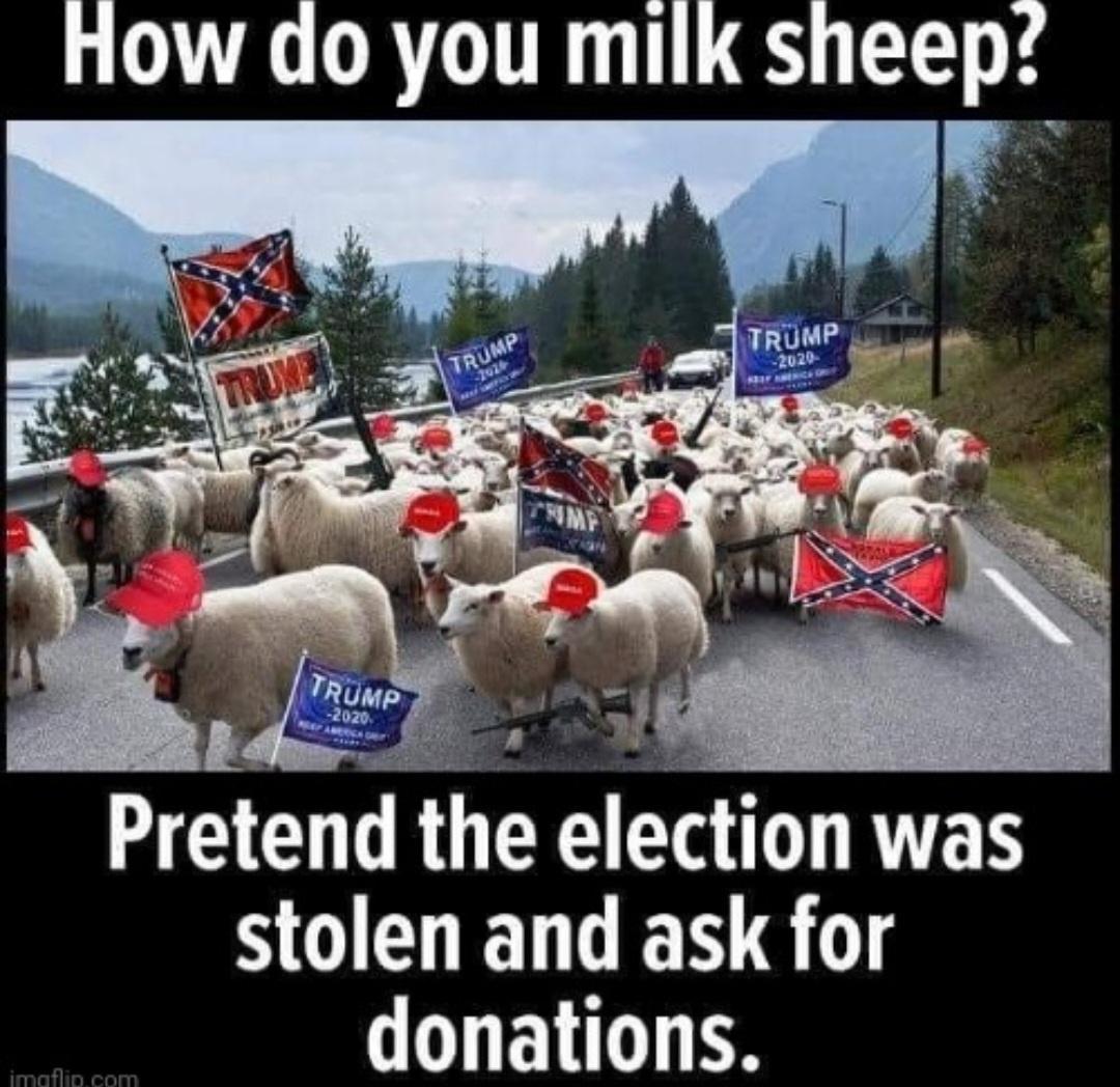 L TG ORTOTTR T sheep k Pretend the electlon was SOEENENS donations
