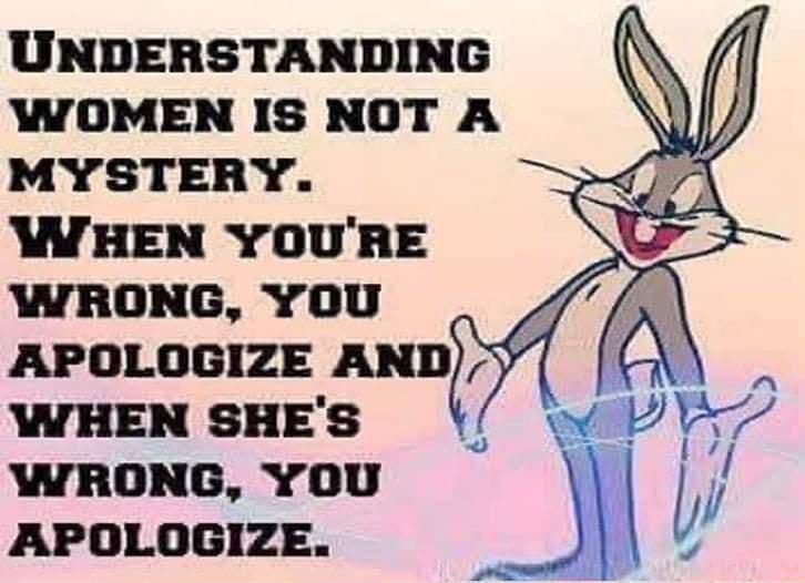 UNDERSTANDING WOMEN IS NOT A MYSTERY WHEN YOURE WRONG YOU 4 R APOLOGIZE AND Y WHEN SHES S WRONG YOU APOLOGIZE