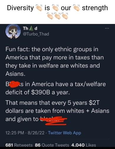Diversity is our strength Thid Fun fact the only ethnic groups in America that pay more in taxes than LG A E LR RV TR R T GO Tale LSELEN Biks in America have a taxwelfare deficit of 3908B a year That means that every 5 years 2T dollars are taken from whites Asians and given todz 681 R 86 Ouc 5 4040