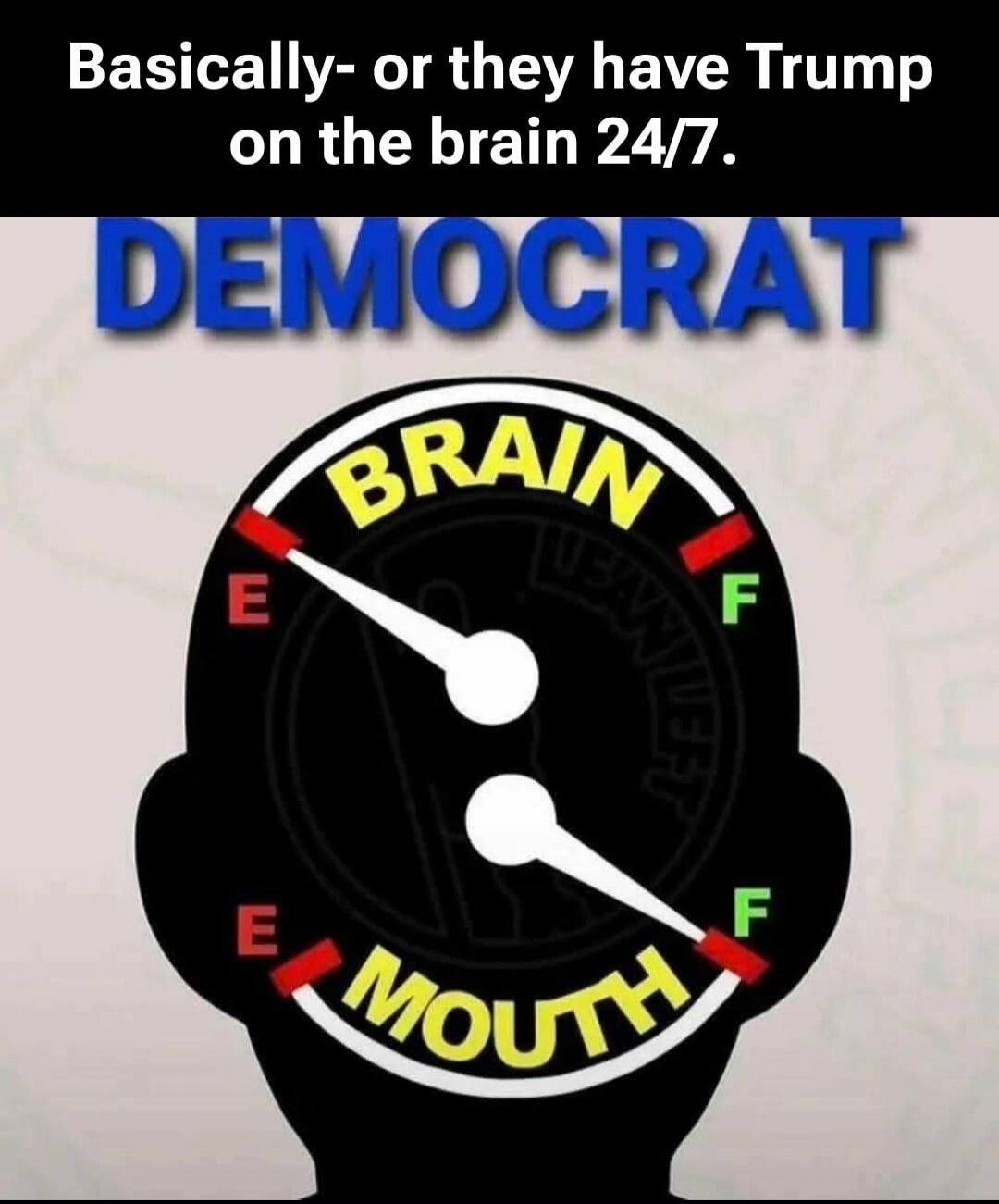 Basically- or they have Trump on the brain 24/7. DEMOCRAT

BRAIN
MOUTH