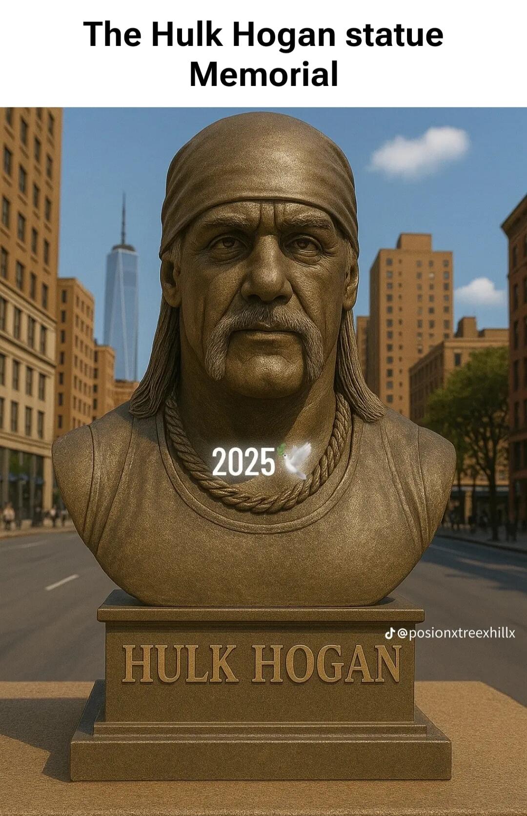 The Hulk Hogan statue Memorial
2025
HULK HOGAN
