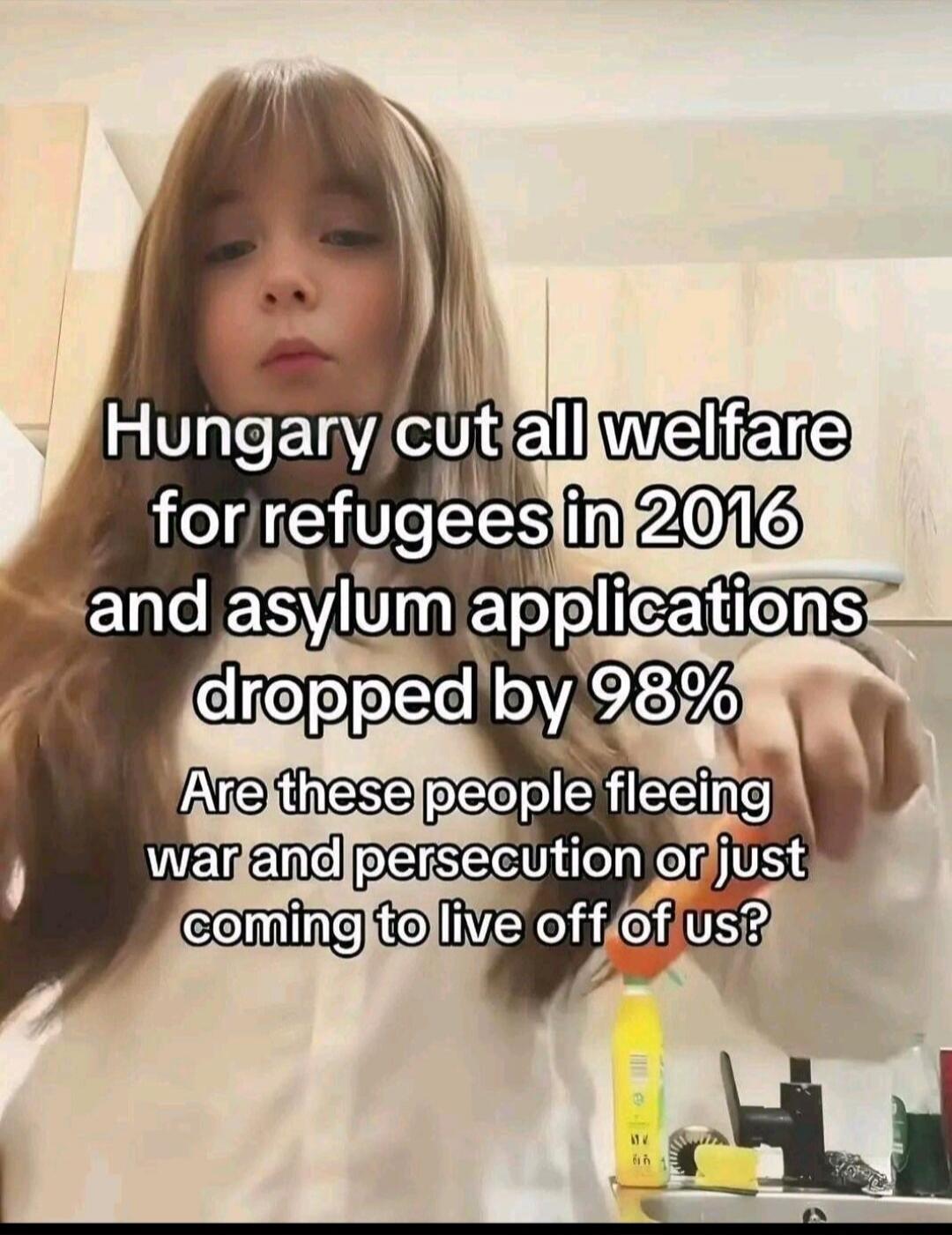 Hungary cut all welfare for refugees in 2016 and asylum applications dropped by 98% Are these people fleeing war and persecution or just coming to live off of us?