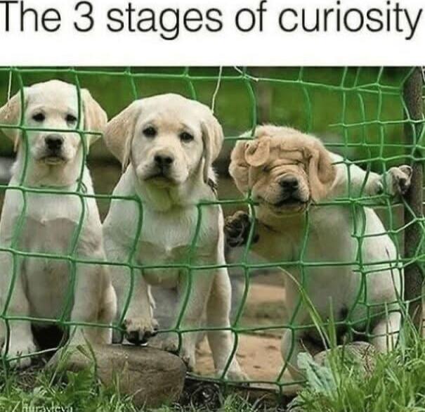 ne 3 stages of curiosity p AL 7 r AU AY G Ll Ll