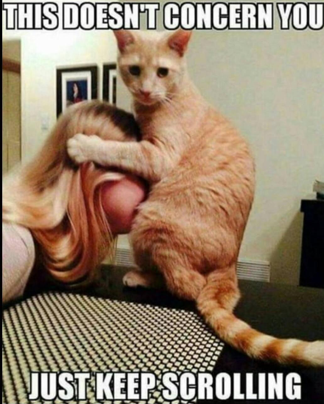 THIS DOESN'T CONCERN YOU
JUST KEEP SCROLLING