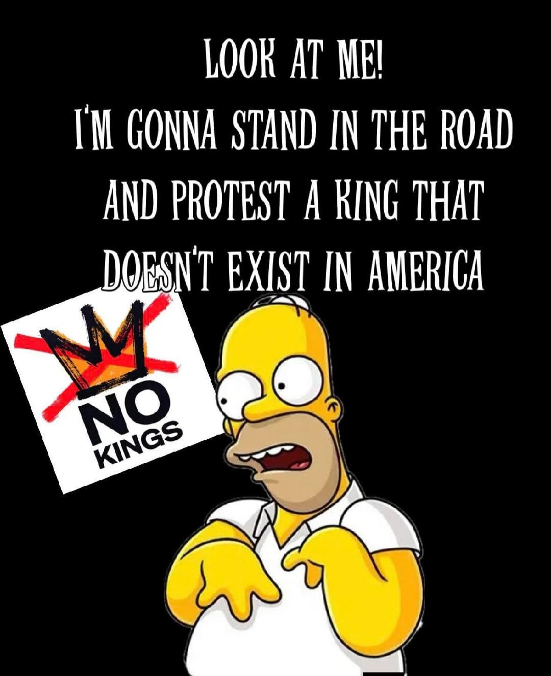 LOOK AT ME! I'M GONNA STAND IN THE ROAD AND PROTEST A KING THAT DOESN'T EXIST IN AMERICA. NO KINGS.