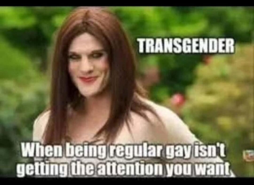 TRANSGENDER When being regular gay isn't getting the attention you want,