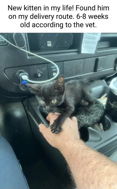 New kitten in my life Found him on my delivery route 6 8 weeks old according to the vet