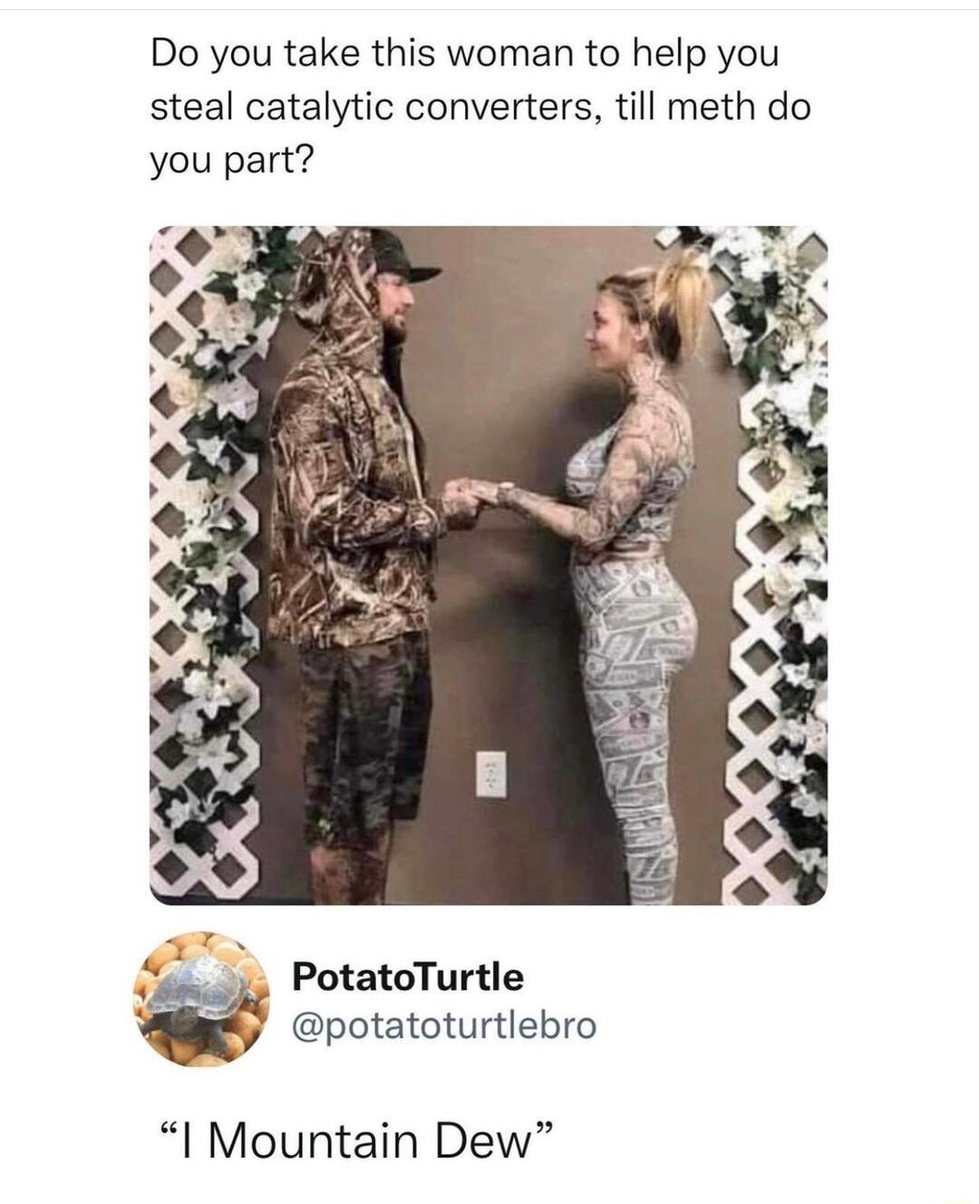 Do you take this woman to help you steal catalytic converters till meth do you part PotatoTurtle gy potatoturtlebro I Mountain Dew