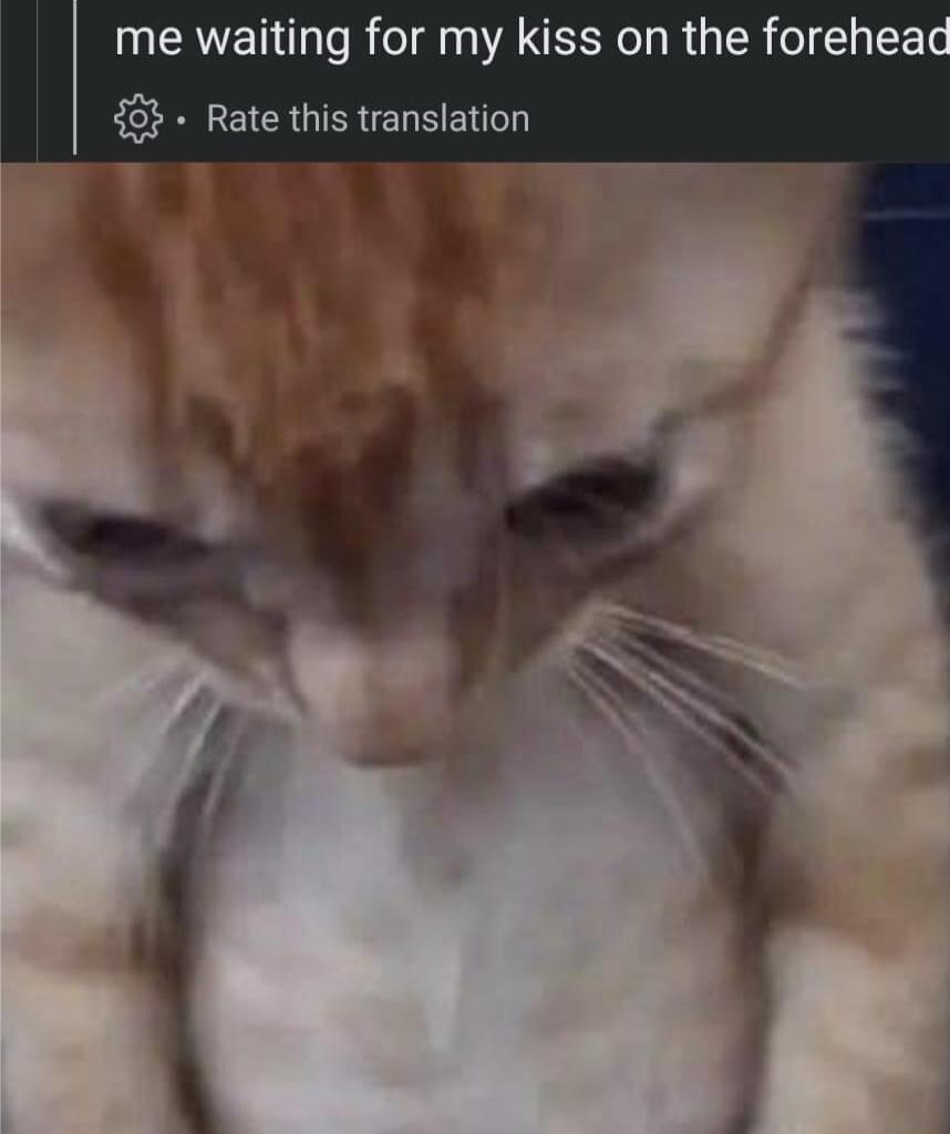 me waiting for my kiss on the forehead 48 Rate this translation