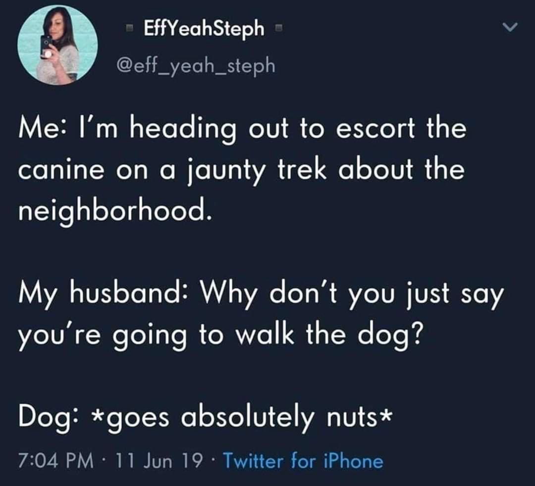 a EffYeahSteph Az a1 eff_yeah_steph Me Im heading out to escort the canine on a jaunty trek about the neighborhood 1Y VAL ATV oYeTaTe B Wae T o M VZC TV TR e youre going to walk the dog DleYoHE JeTel Nle eI N L VAIN S 704 PM 11 Jun 19 Twitter for iPhone