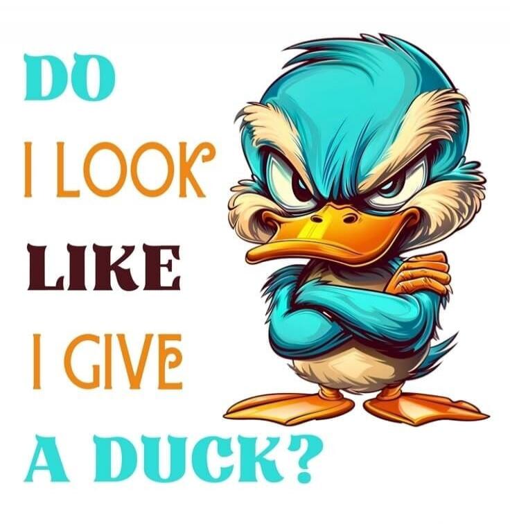 DO I LOOK LIKE I GIVE A DUCK?