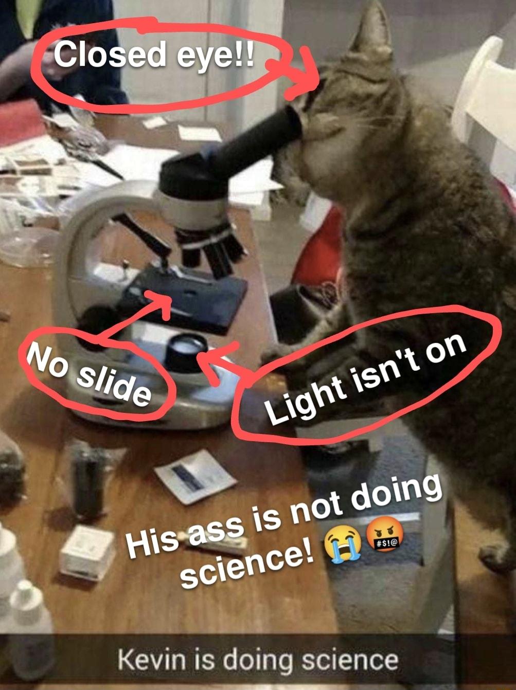 Kevnn is domg science