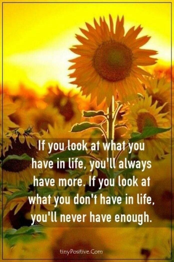 If you look at what you have in life, you'll always have more. If you look at what you don't have in life, you'll never have enough.