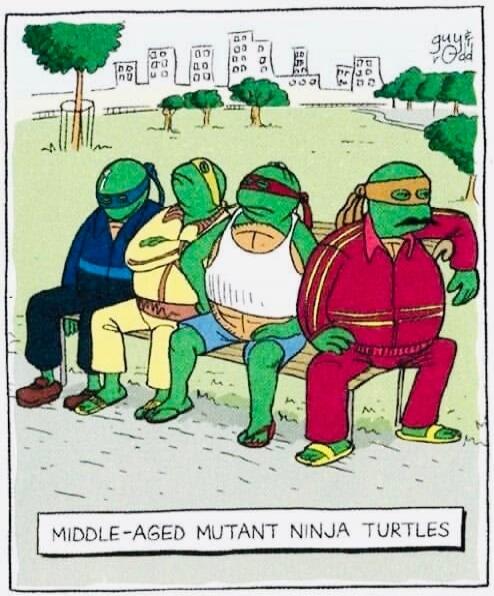 MIDDLE-AGED MUTANT NINJA TURTLES