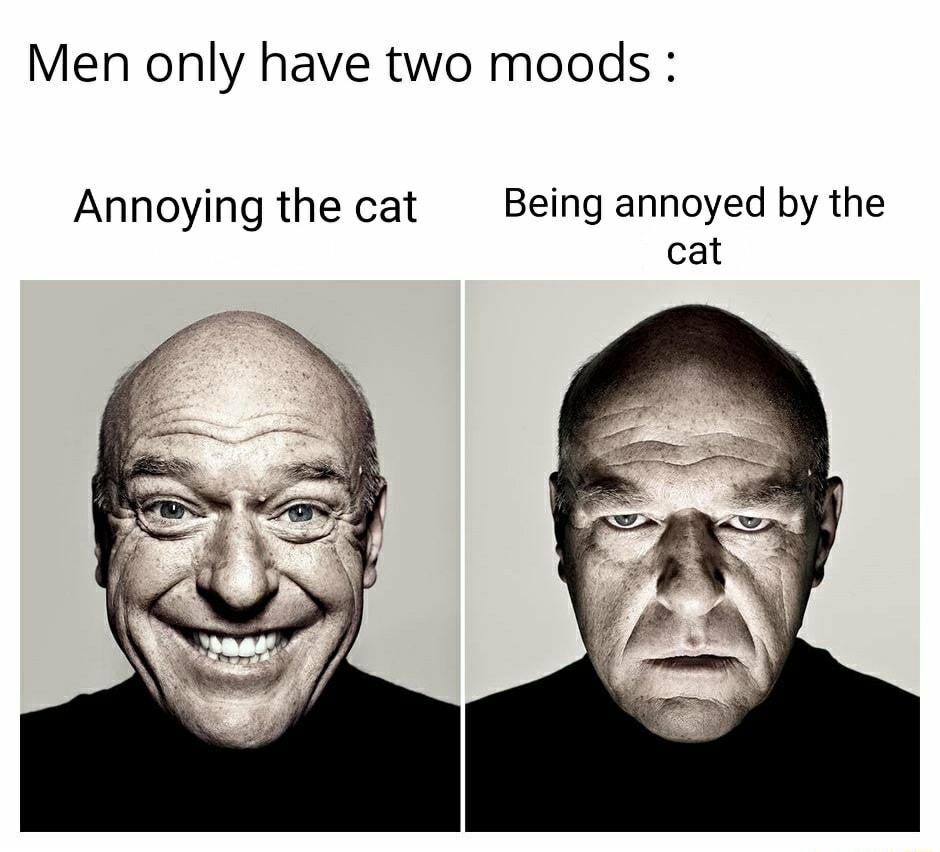 Men only have two moods Annoying the cat Being annoyed by the cat