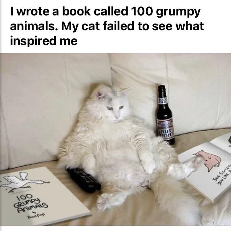 1 wrote a book called 100 grumpy animals My cat failed to see what inspired me